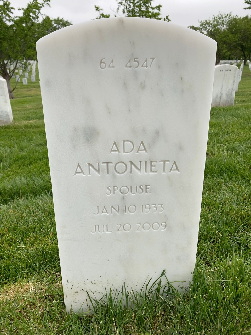 Back of headstone — Elton Grapes