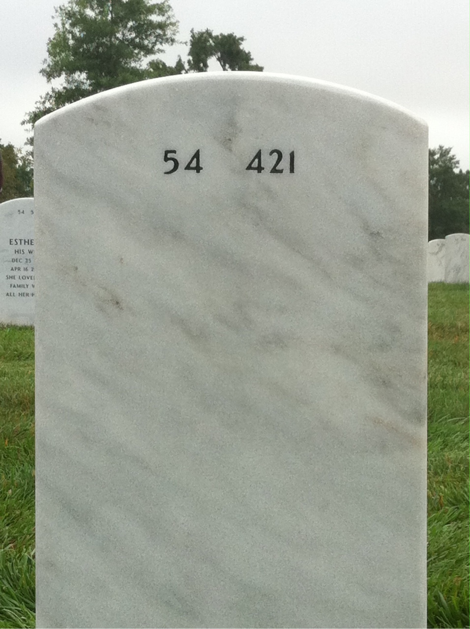 Back of headstone — Richard Davis