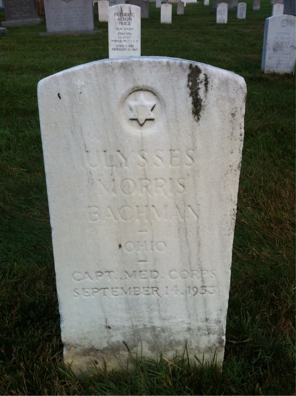 Ulysses Bachman
