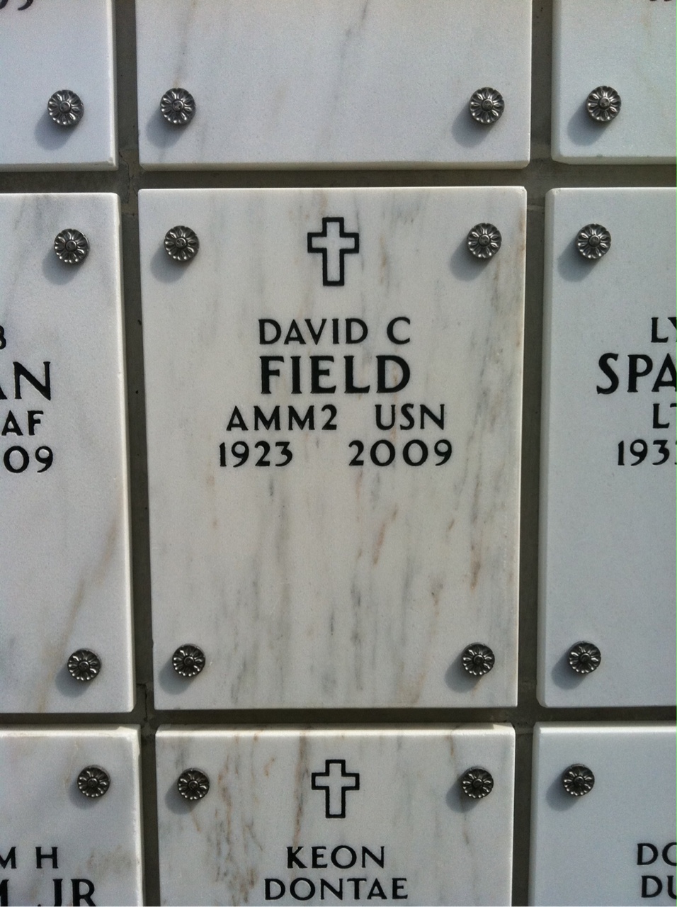 David Field