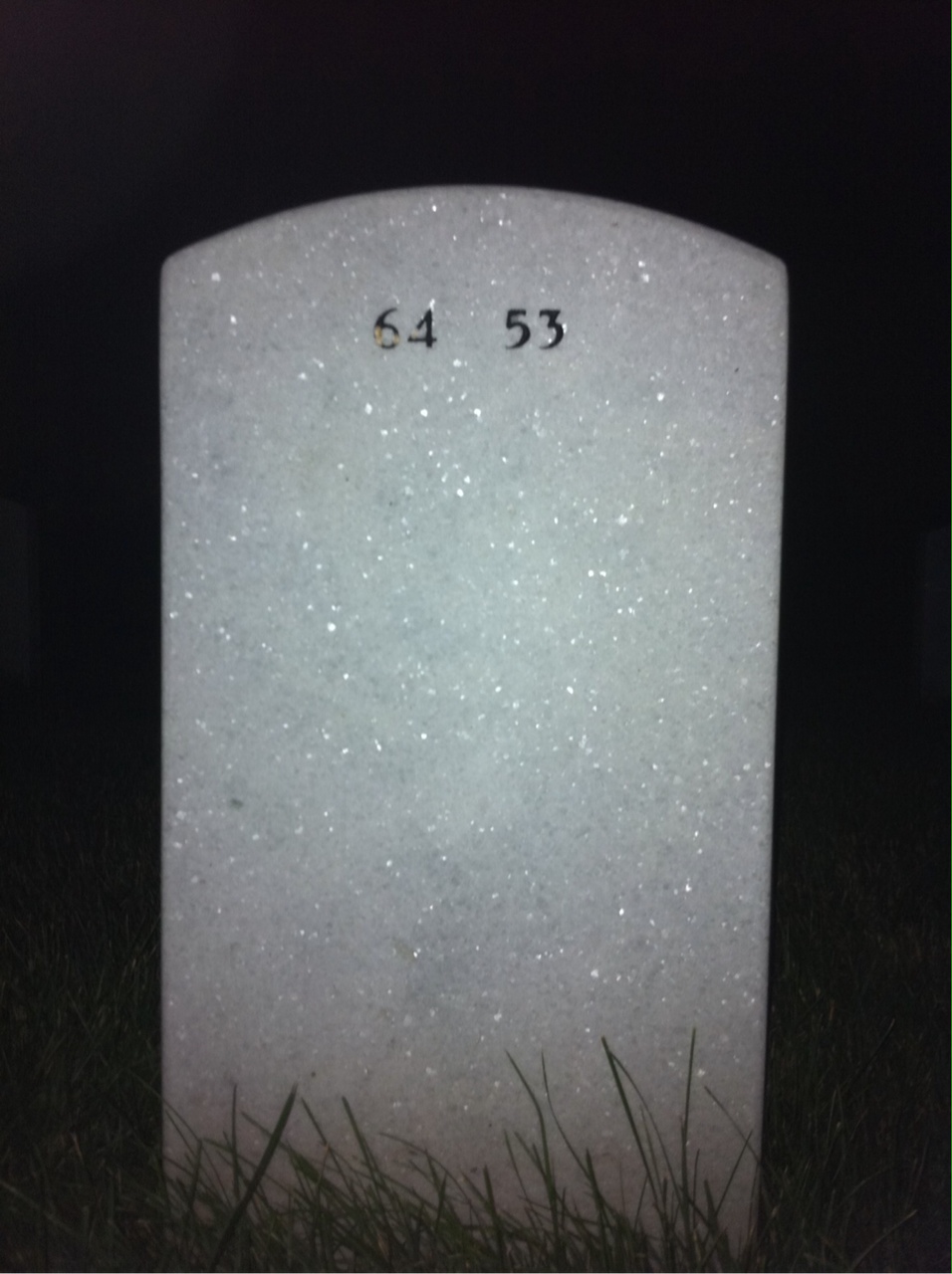Back of headstone — Alvin Fleishman