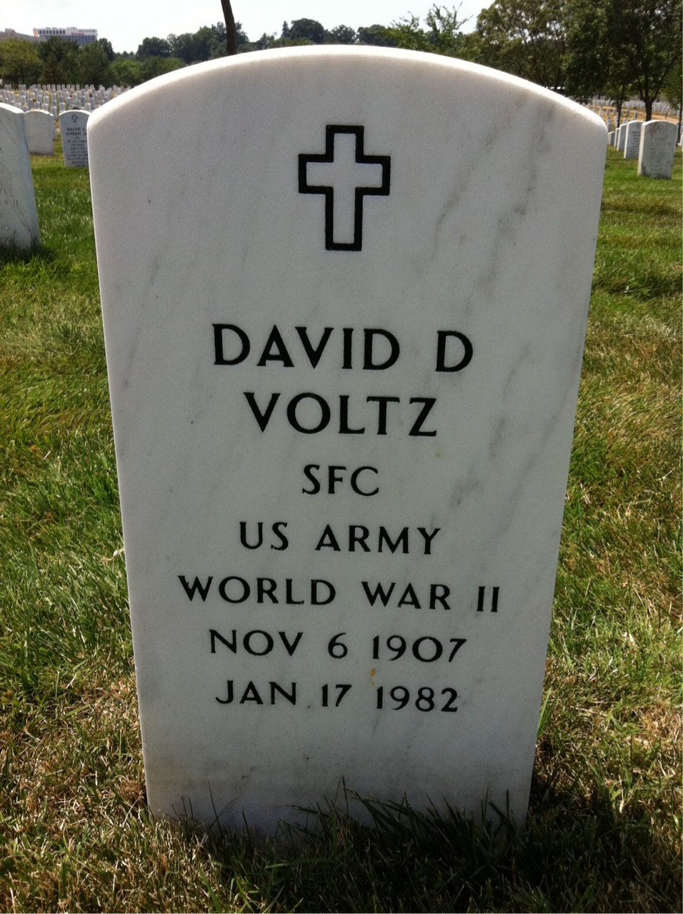 David Voltz