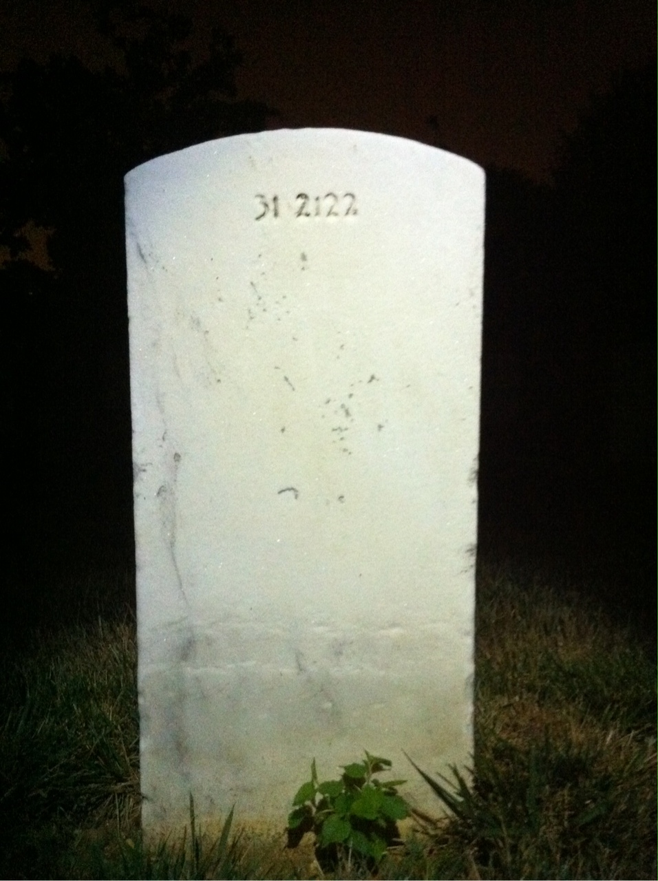 Back of headstone — Roy Abbott