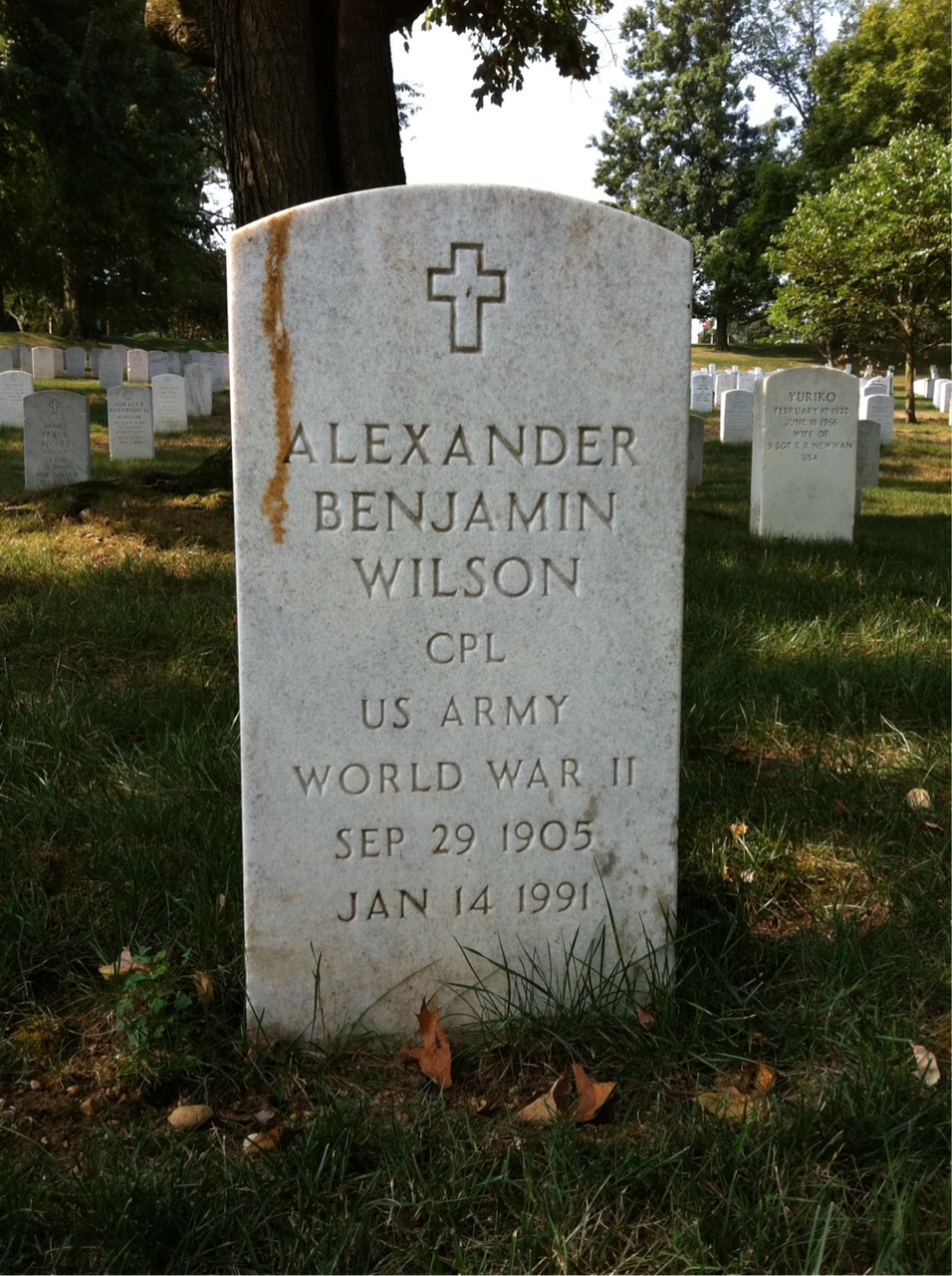 Alexander B Wilson