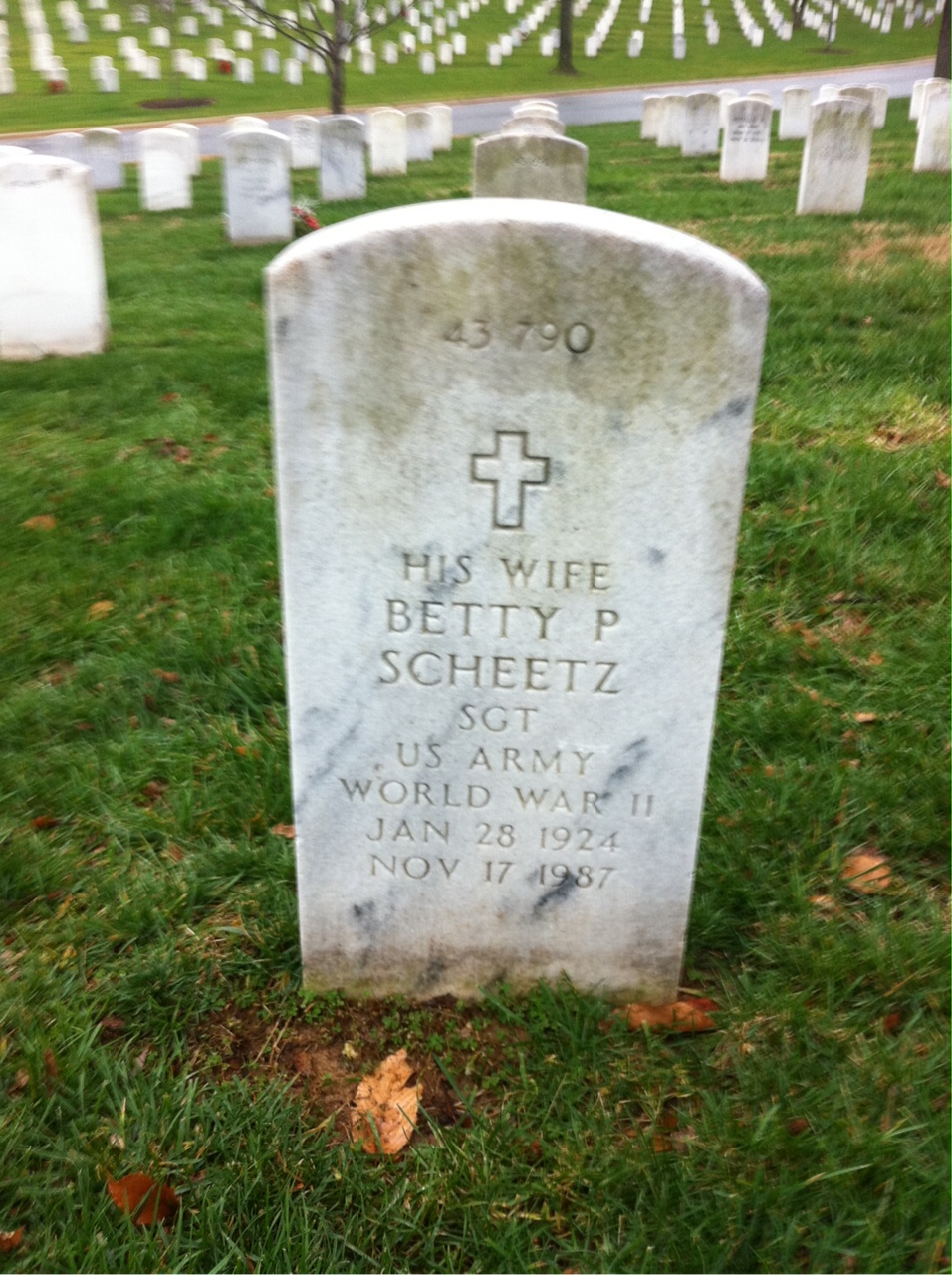 Back of headstone — Carl Scheetz