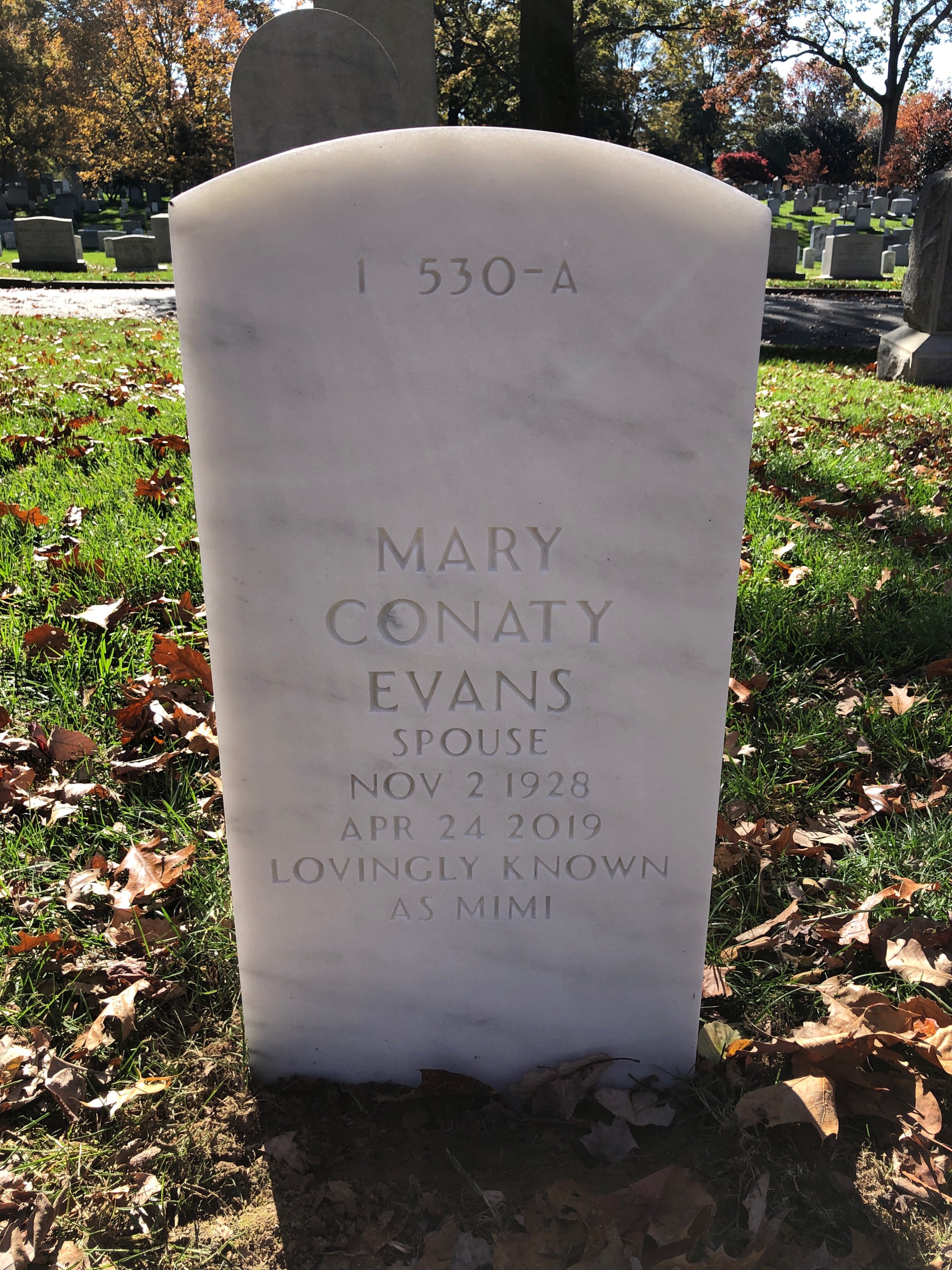 Back of headstone — William Thomas Driscoll