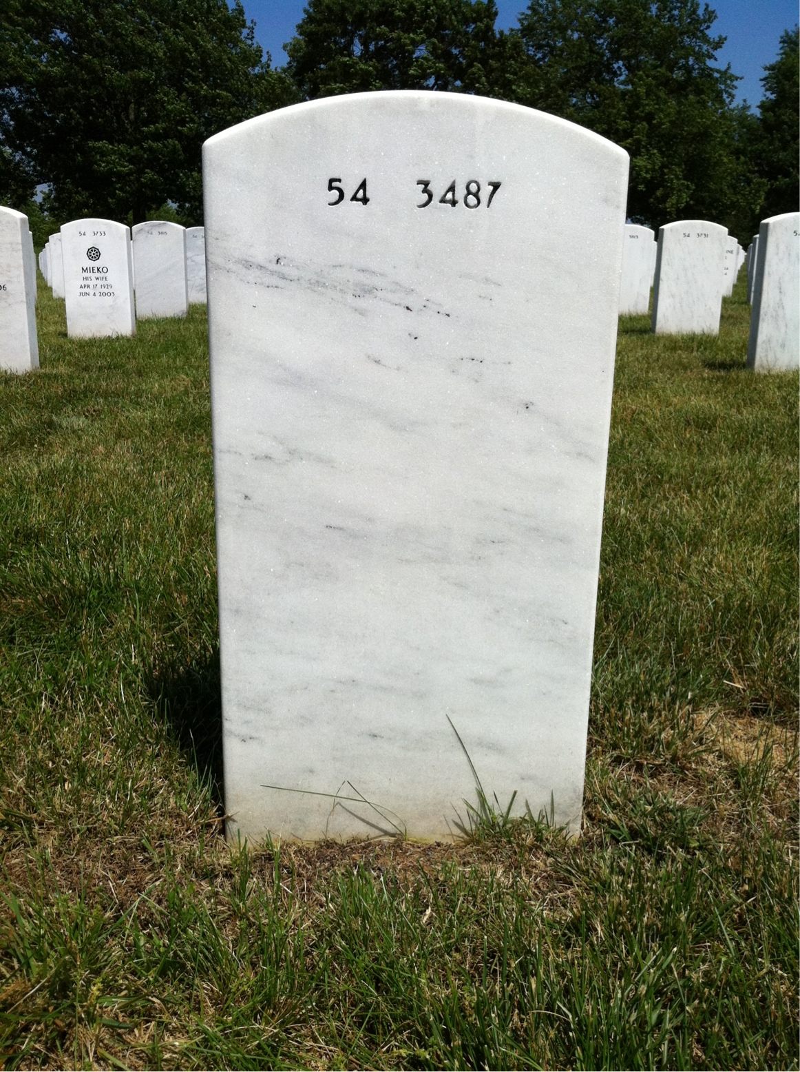 Back of headstone — Willie Woods