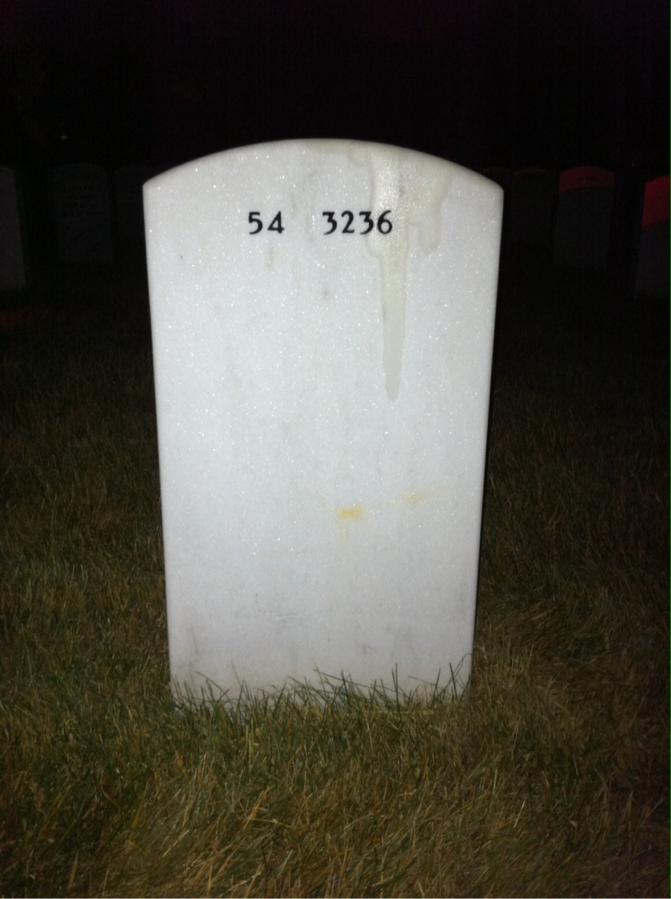 Back of headstone — Lawrence Hoy