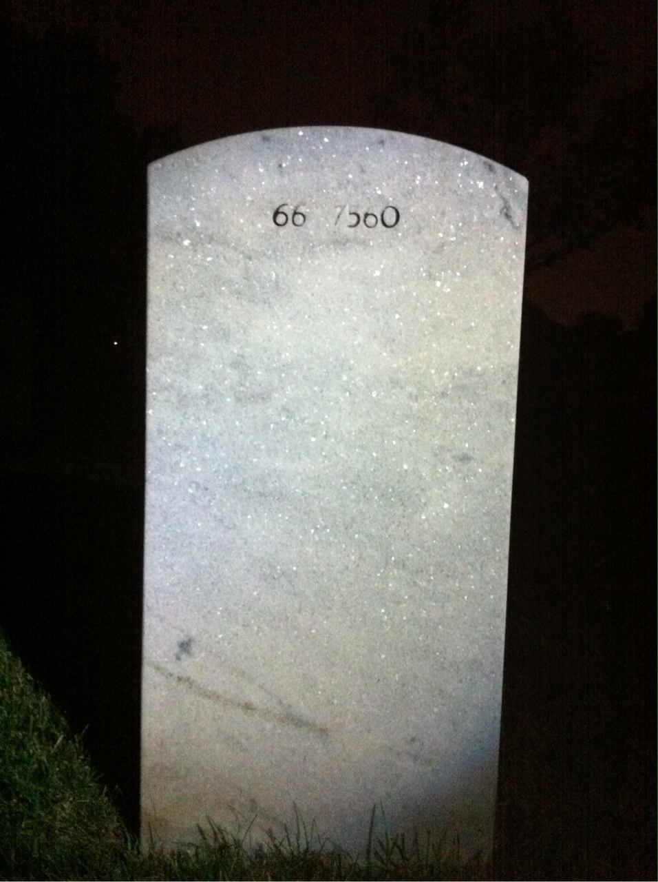 Back of headstone — Tracy Monroe Kosoff
