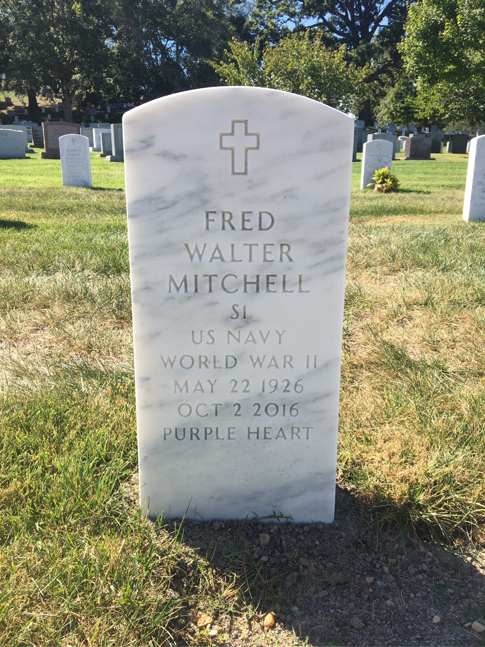 Fred Mitchell