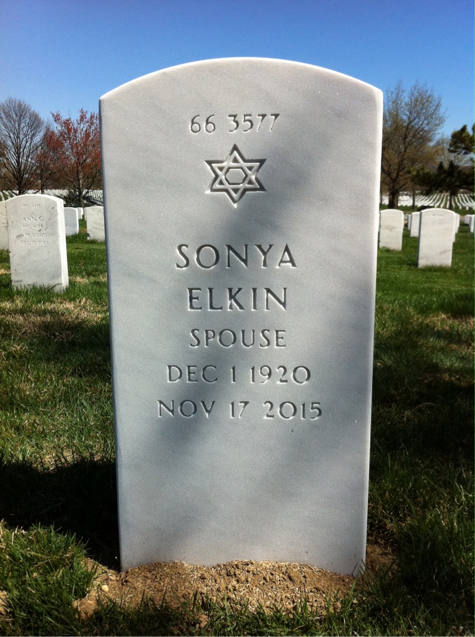 Back of headstone — Ordis Forbess