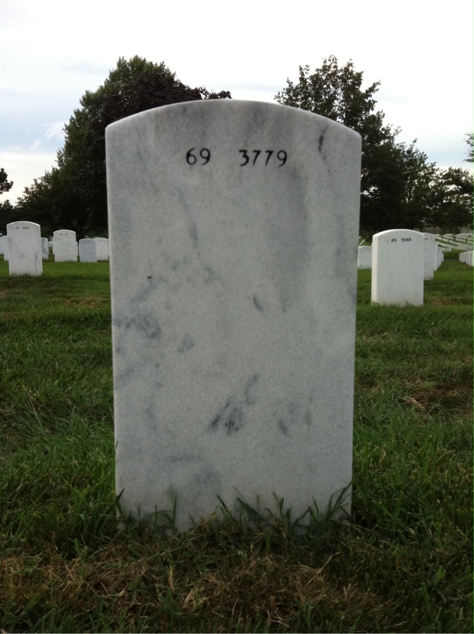 Back of headstone — Marshall Steinberg