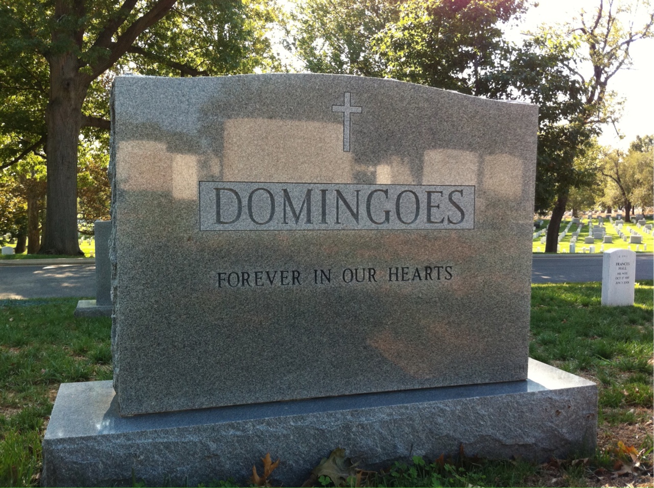 Back of headstone — Frank Domingoes