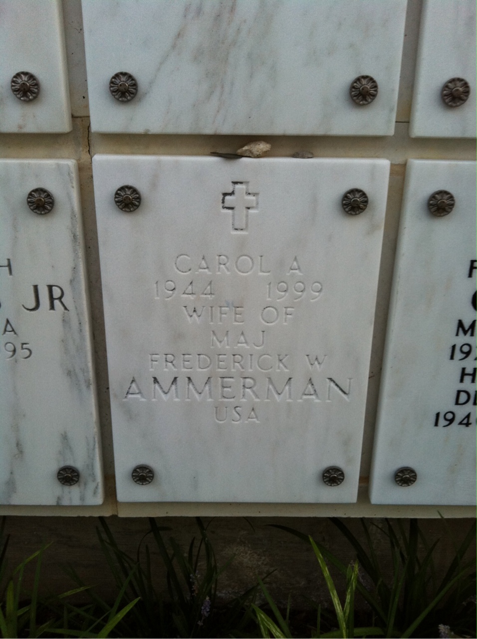 Carol Ammerman