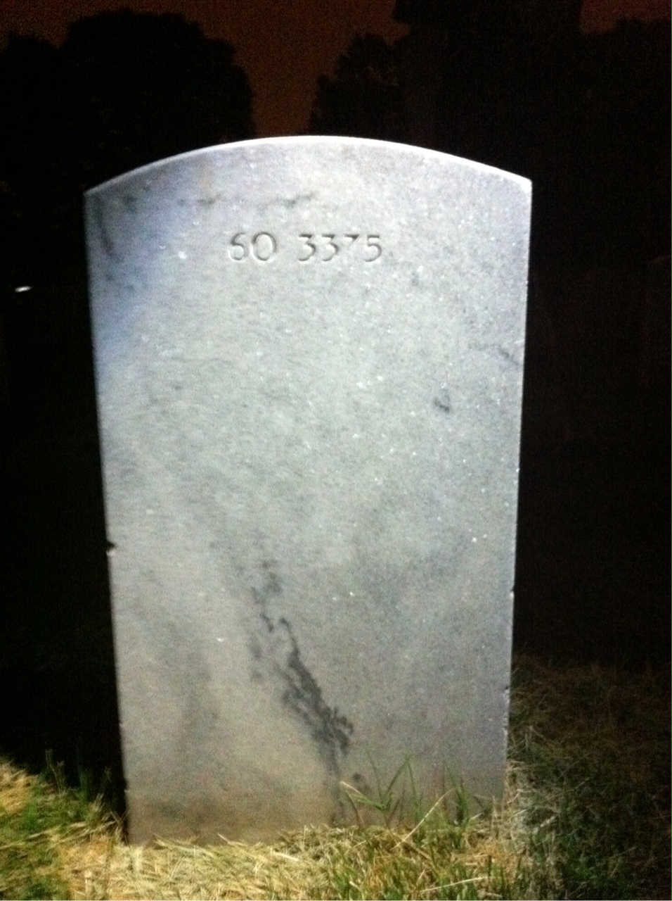 Back of headstone — Tim C Selden