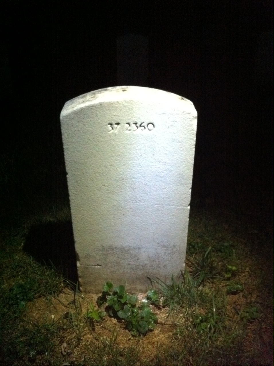 Back of headstone — Robert Cork