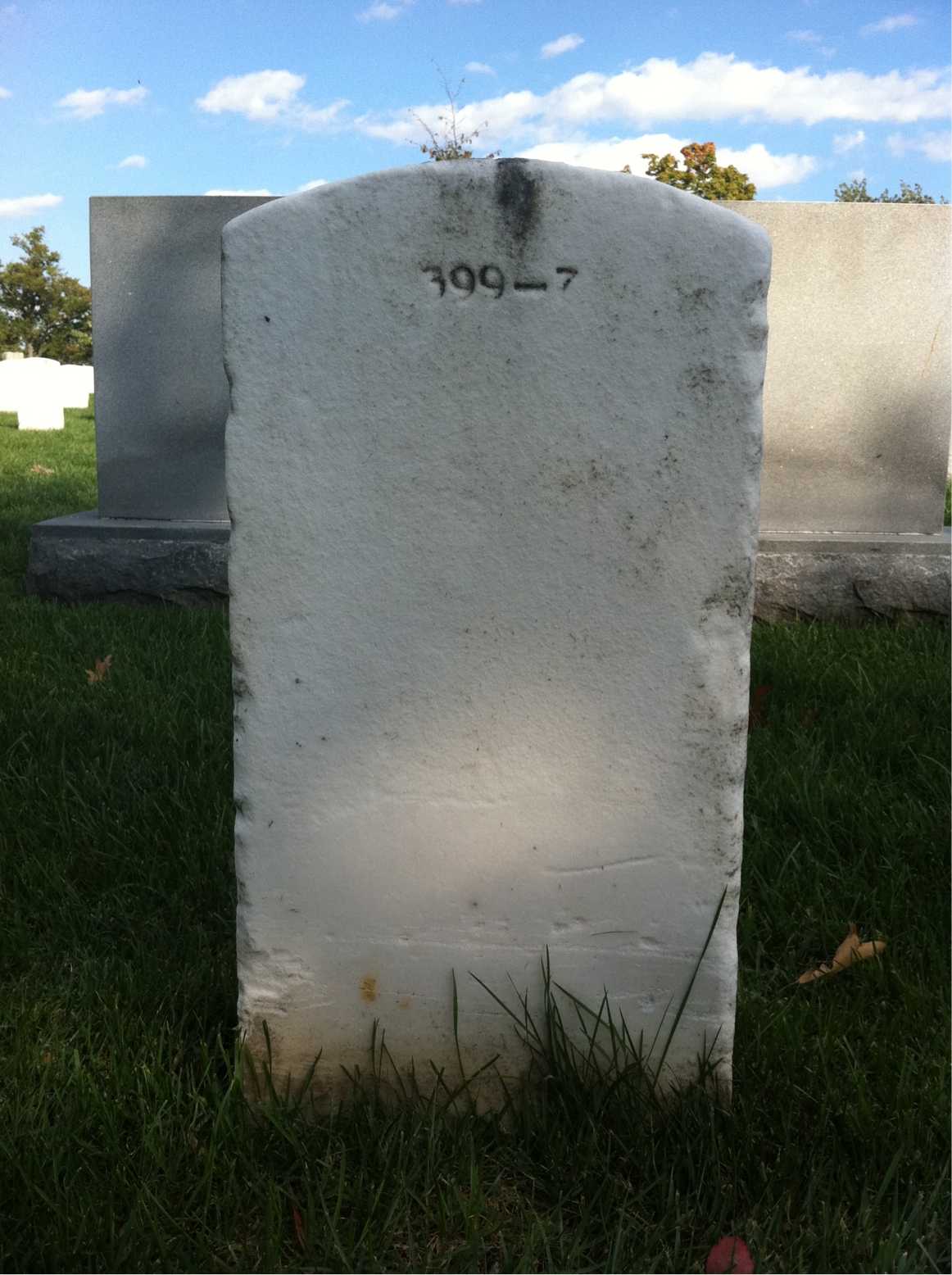 Back of headstone — Stephen Berg