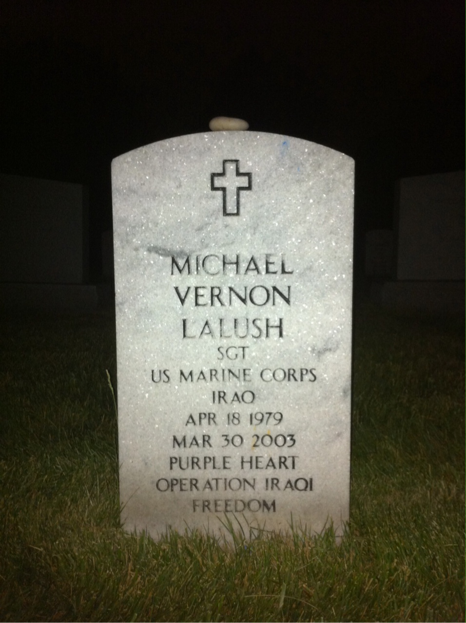 Michael Vernon Lalush
