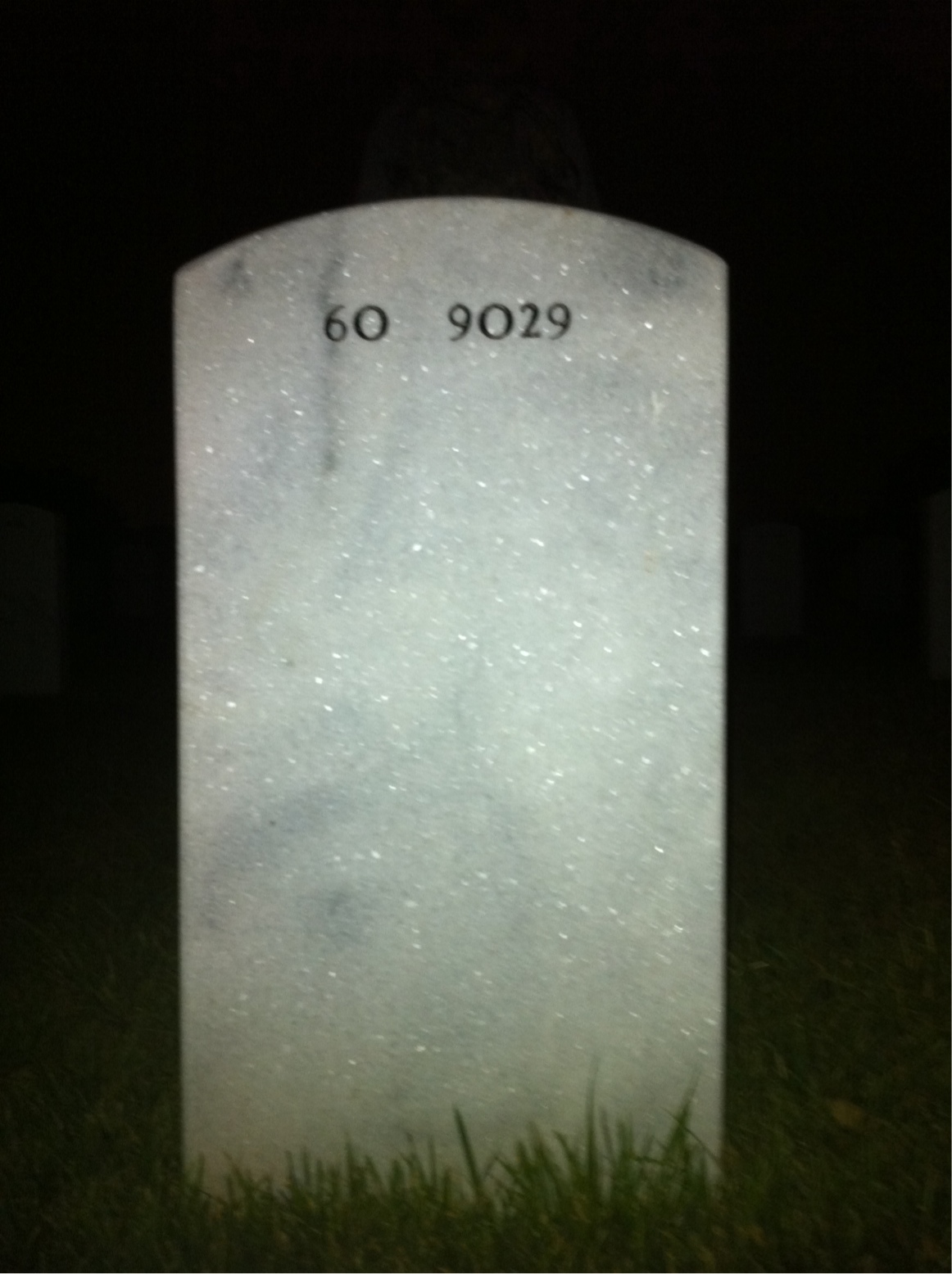 Back of headstone — Weldon Dickson