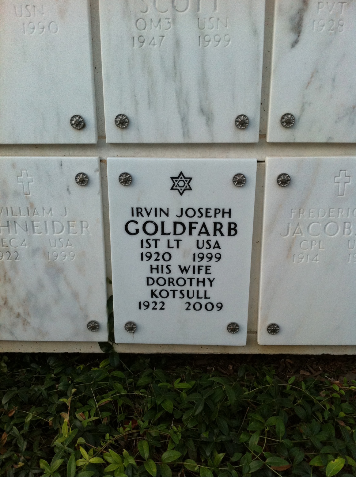 Irvin Goldfarb