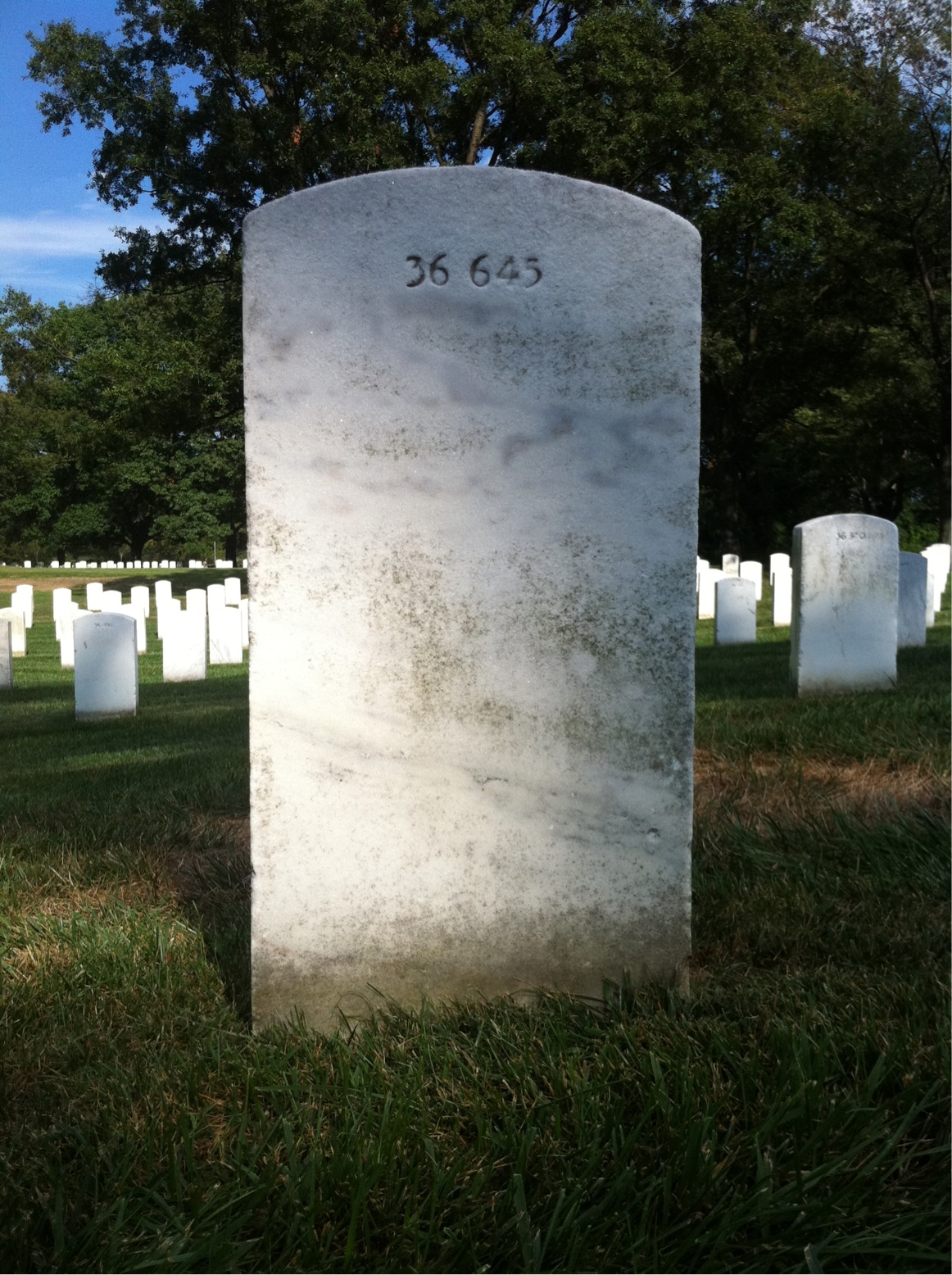 Back of headstone — Marion Mulligan