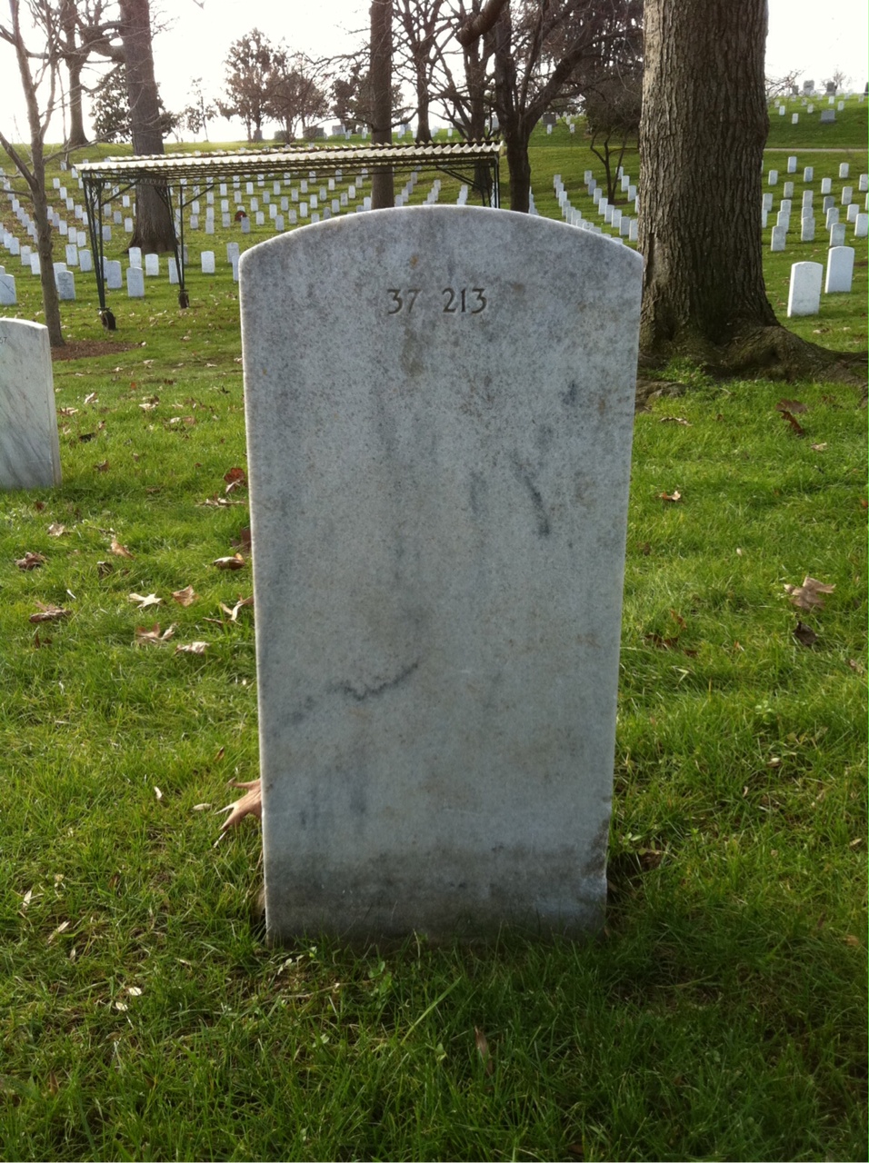 Back of headstone — Hayward Moultrie