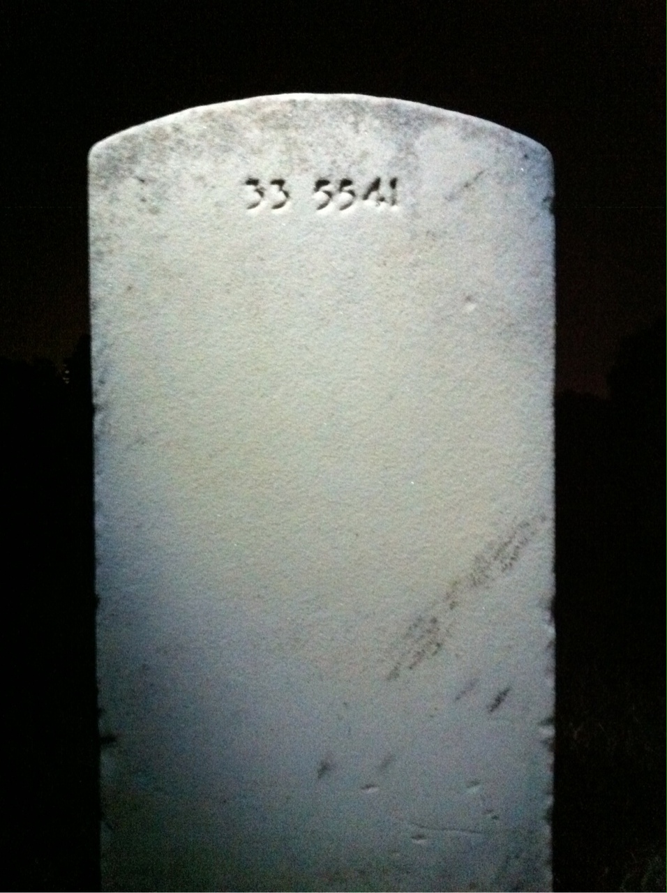 Back of headstone — William Carl Johnson