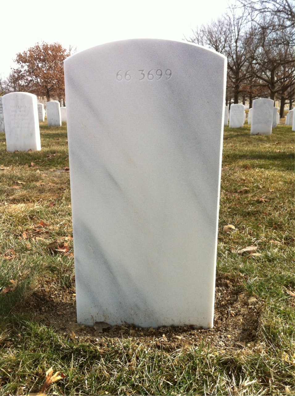 Back of headstone — Frank Breth