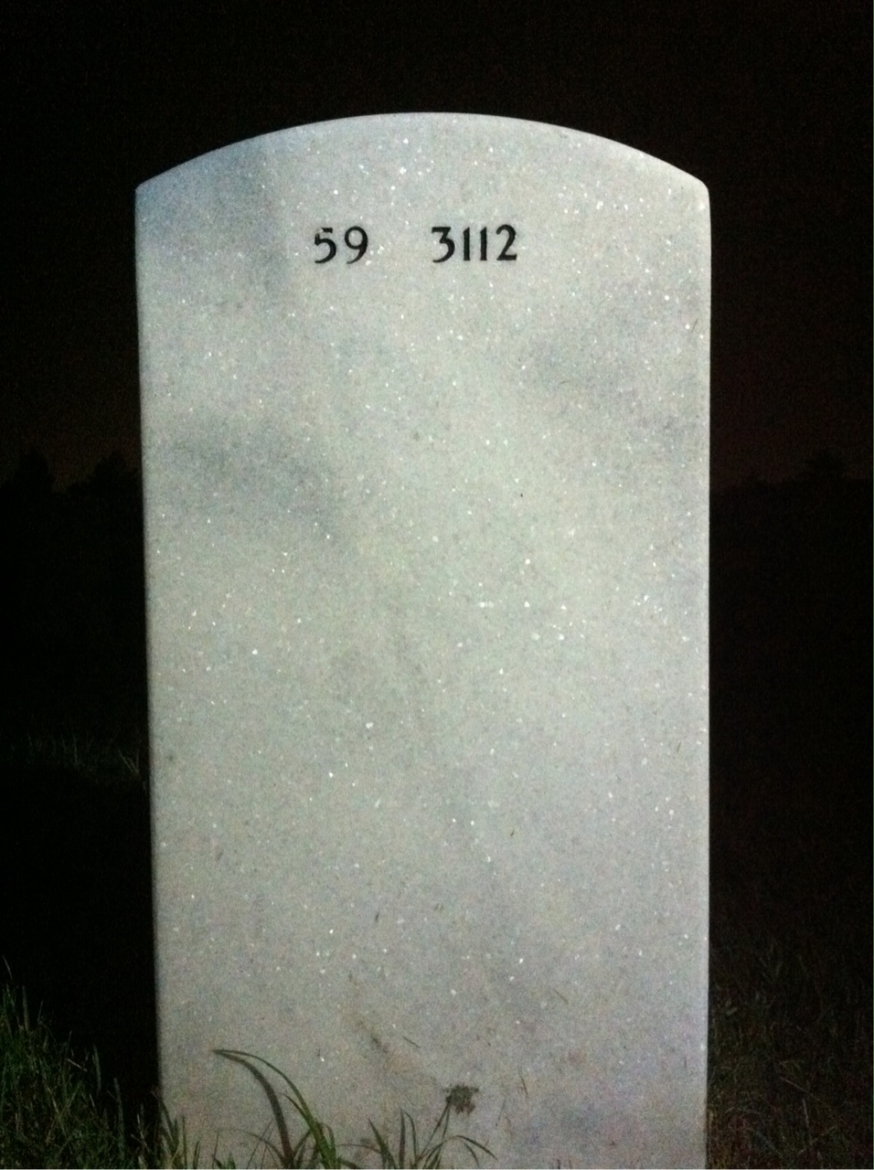 Back of headstone — William Trunkes