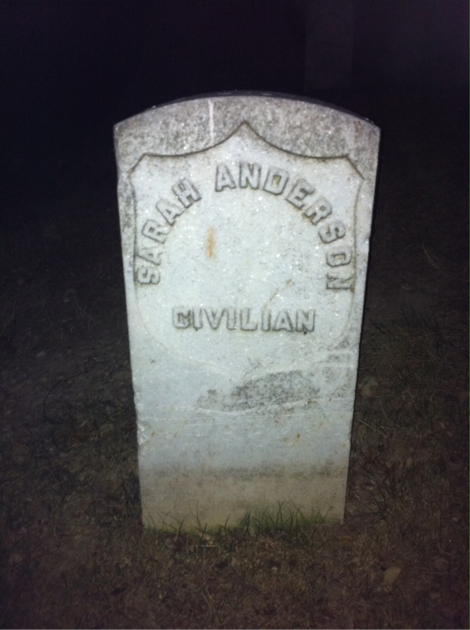 Sarah Anderson