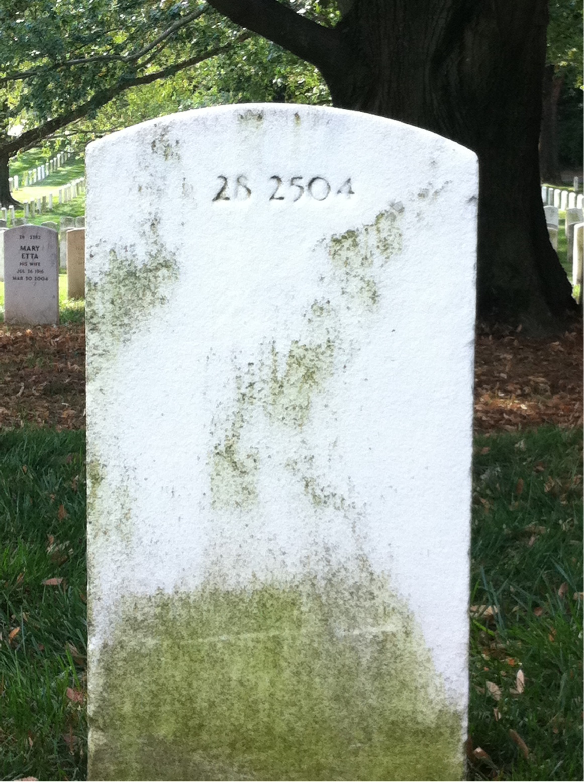 Back of headstone — Frederick Minor