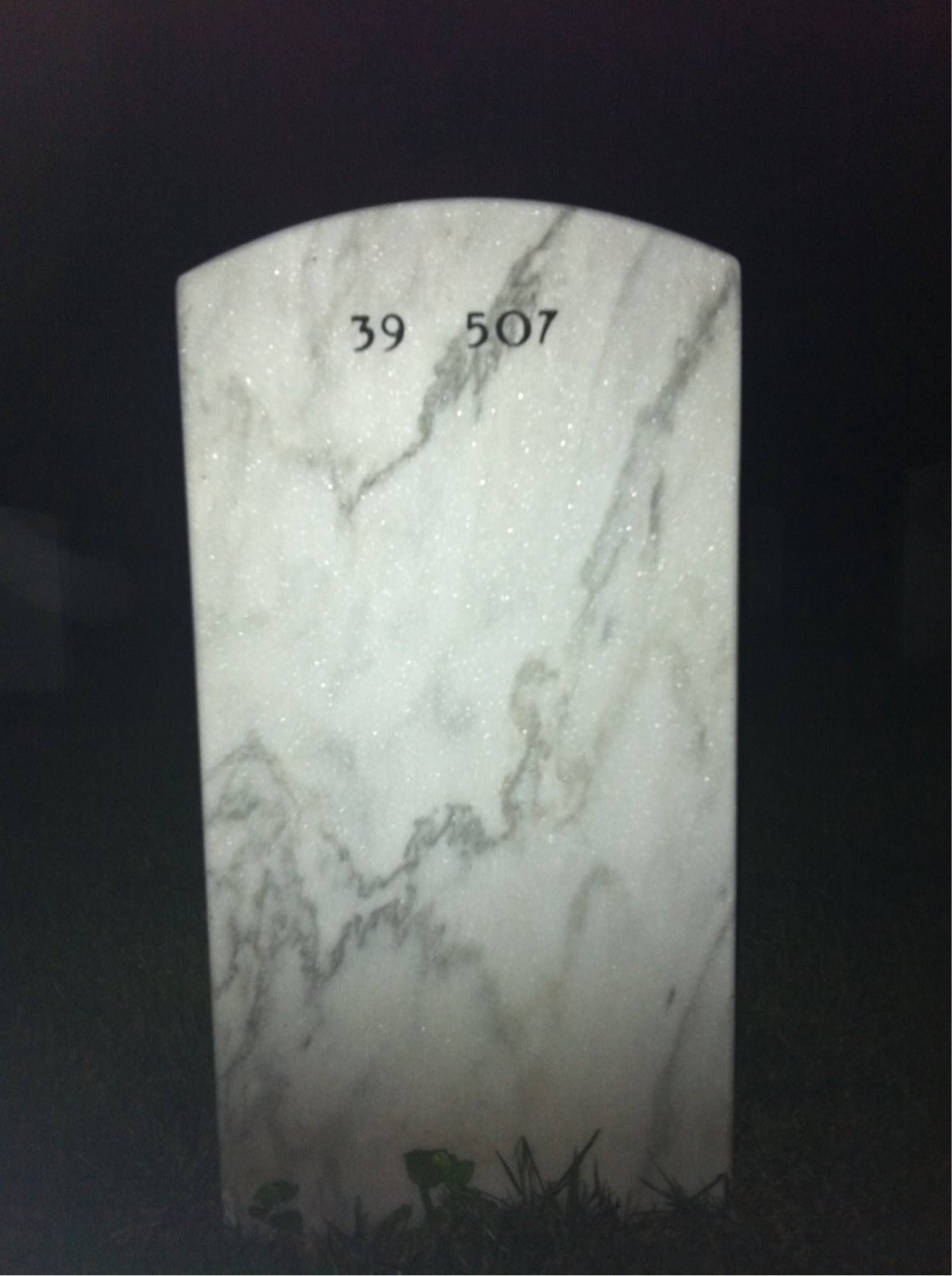Back of headstone — Leroy Martin