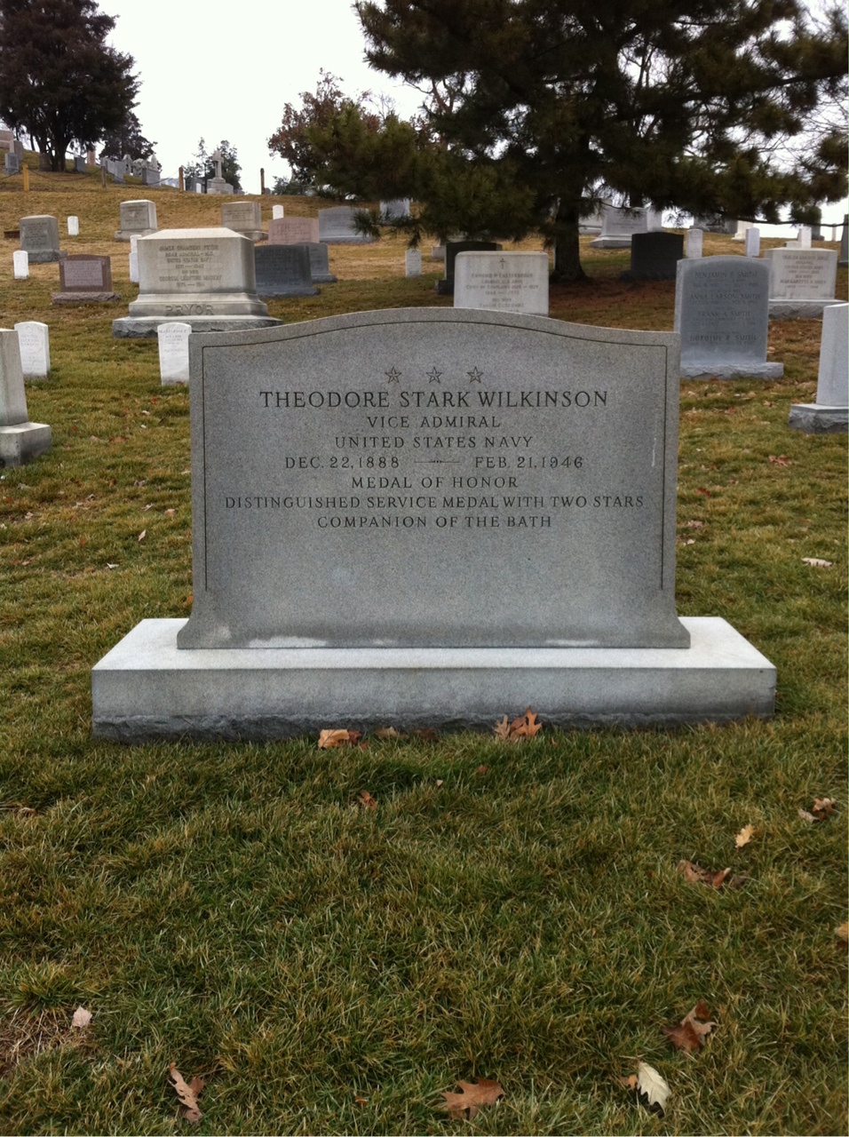 Headstone of Theodore Wilkinson