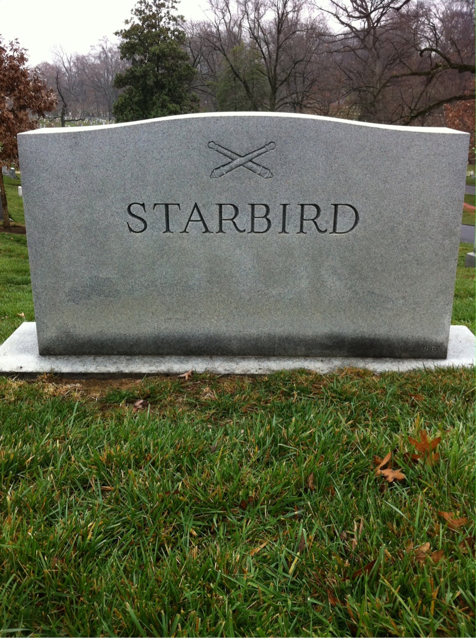 Back of headstone — Alfred Starbird