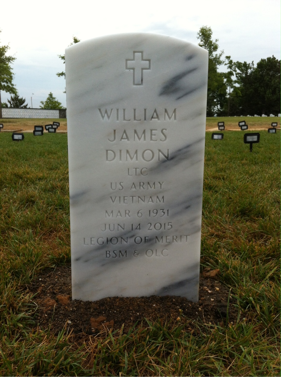 William James Dimon
