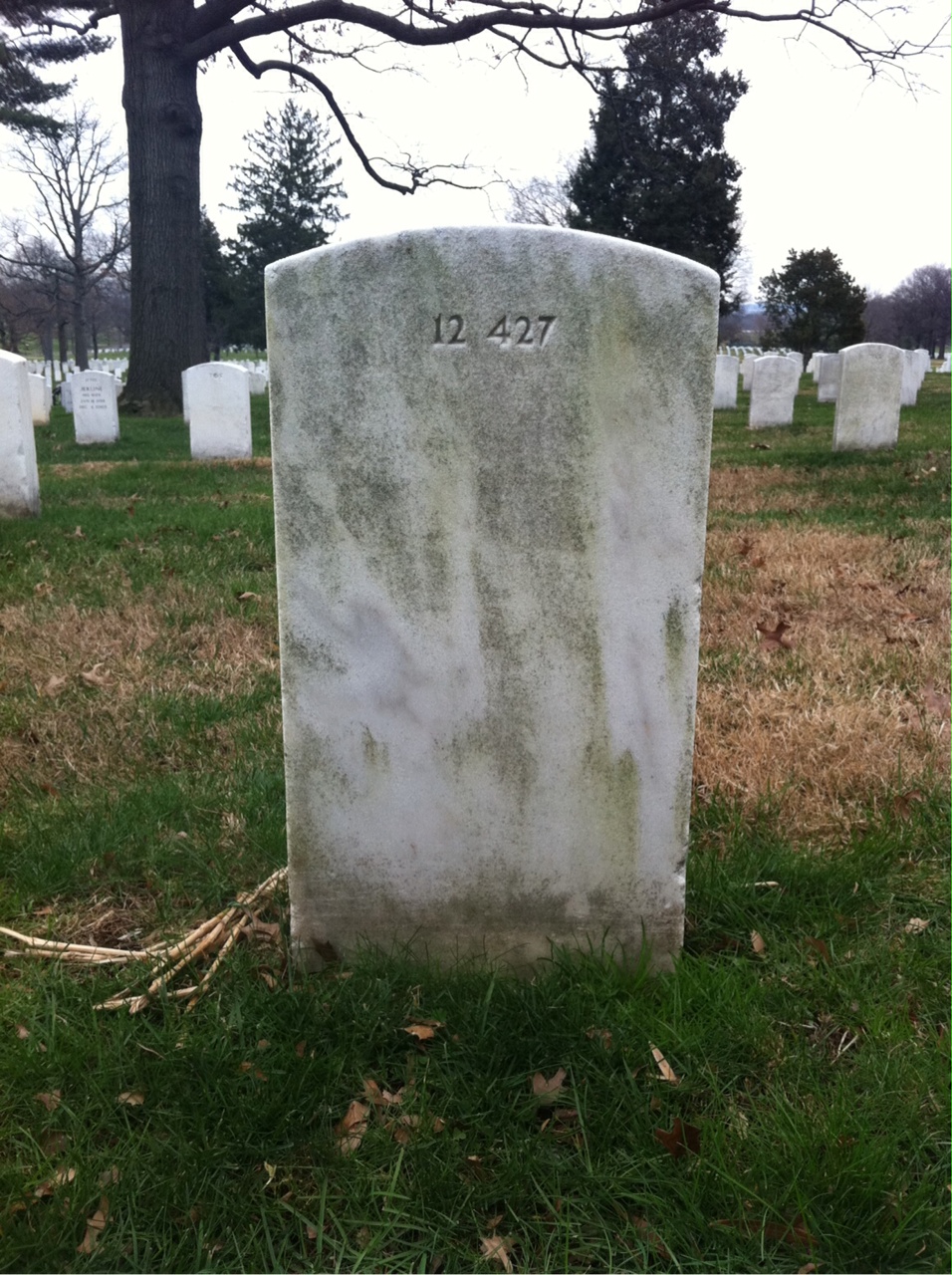 Back of headstone — John Avelleyra