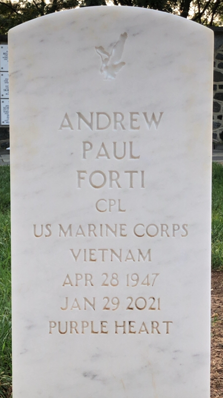 Andrew P Forti