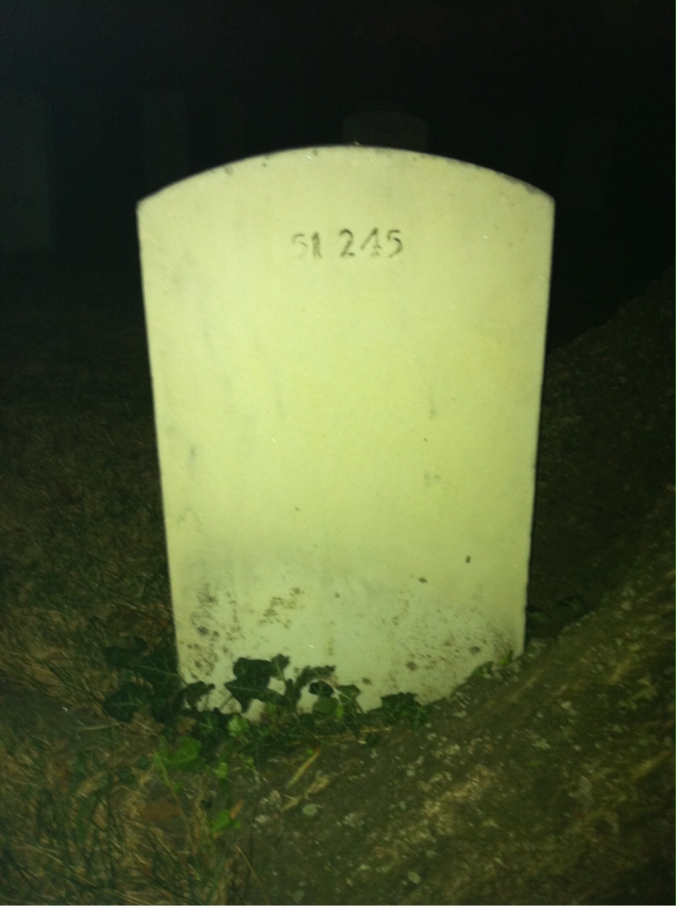 Back of headstone — Lee Adams