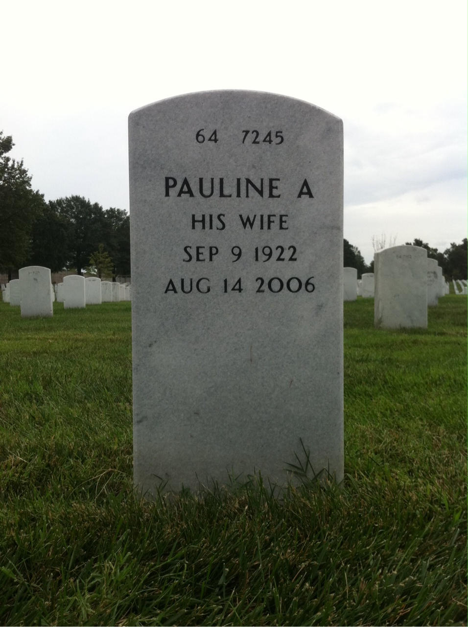 Back of headstone — Albert Parsons