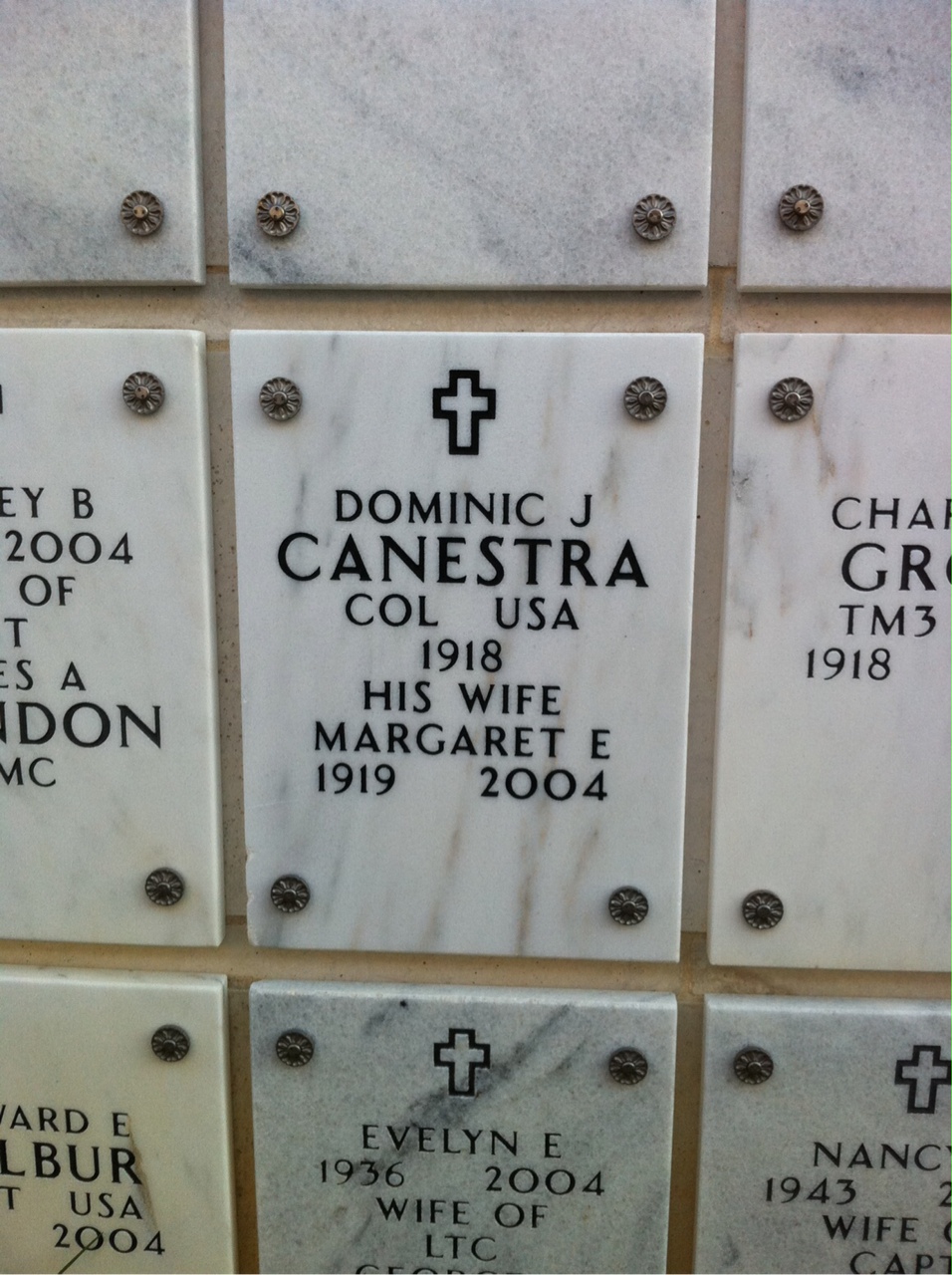 Dominic Canestra