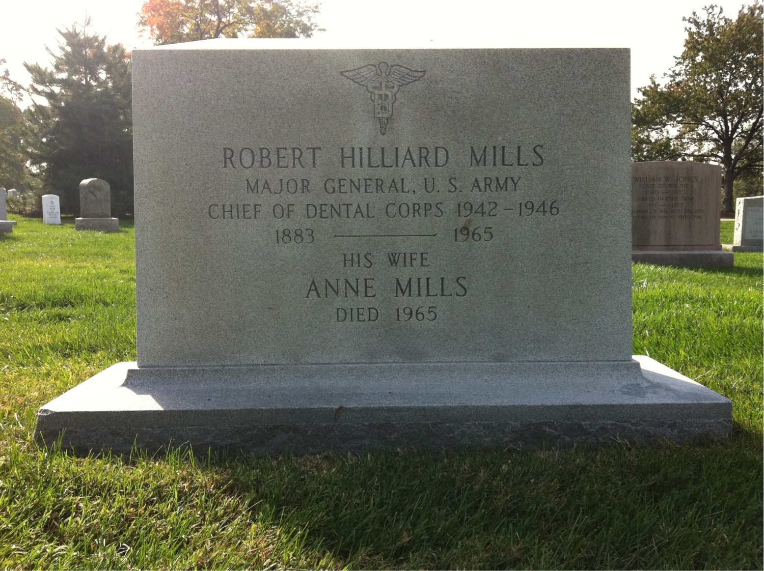 Anne Mills