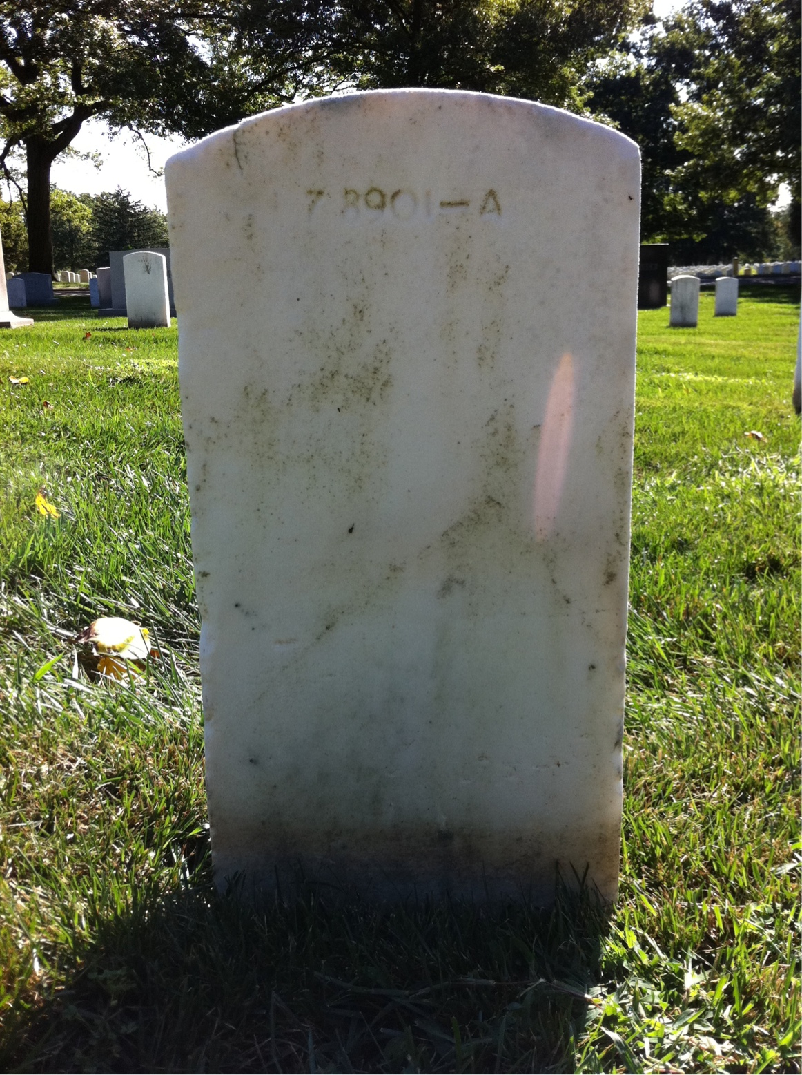 Back of headstone — Robert Allen