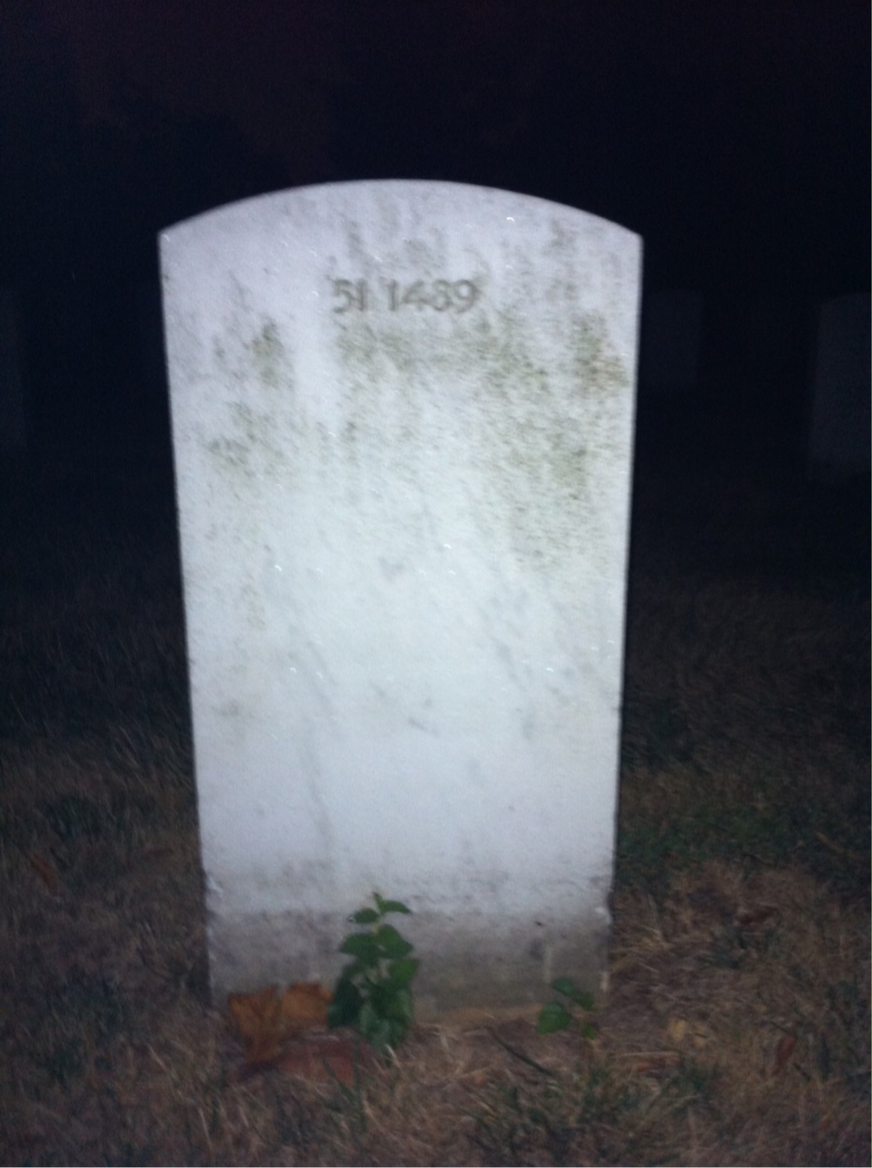 Headstone of David Harold Freeman