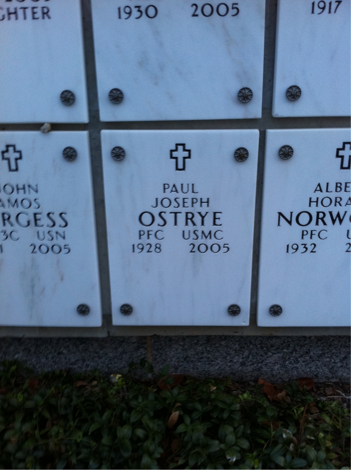 Paul Ostrye