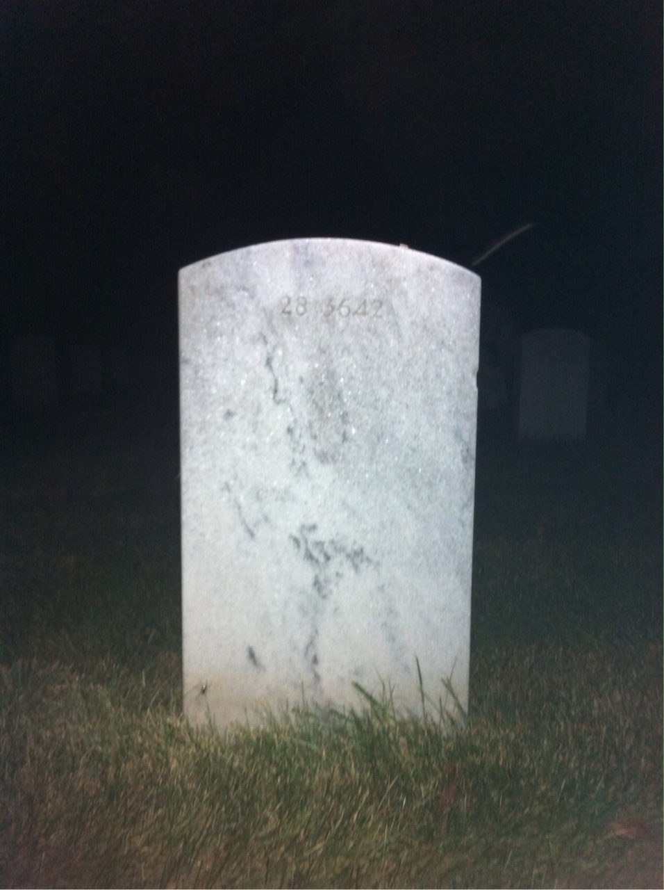 Back of headstone — Cecelia Constandy