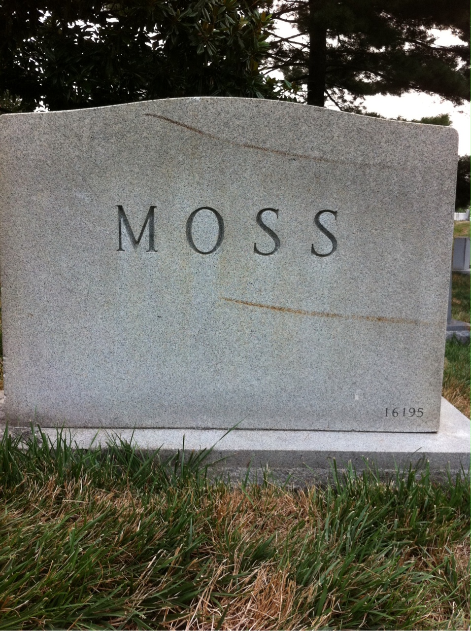 Back of headstone — William Moss