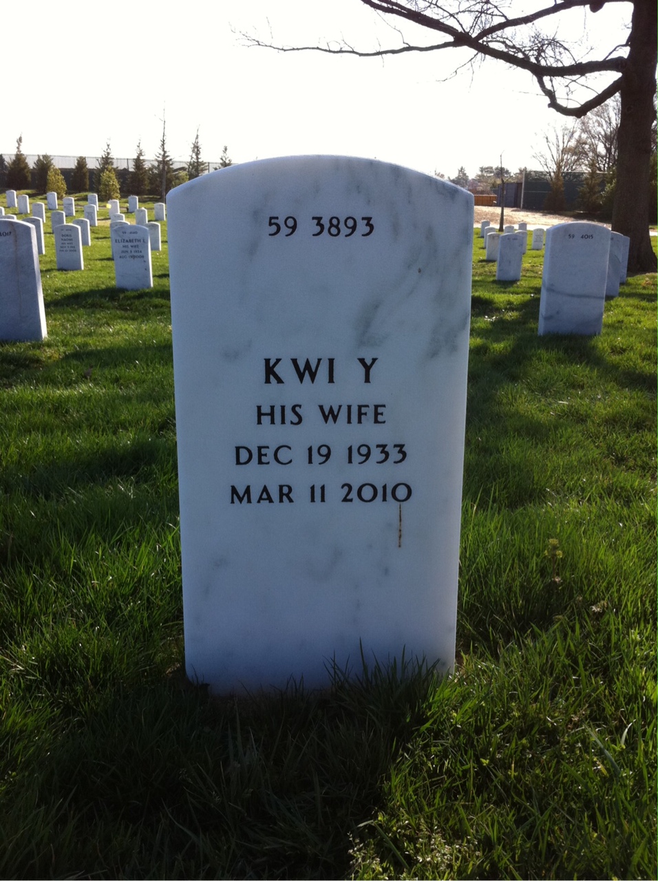 Back of headstone — William Angelvich