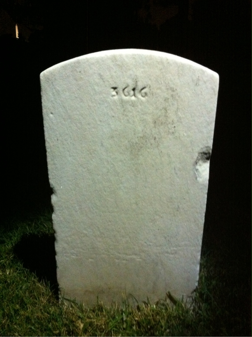 Back of headstone — Shelby Cox