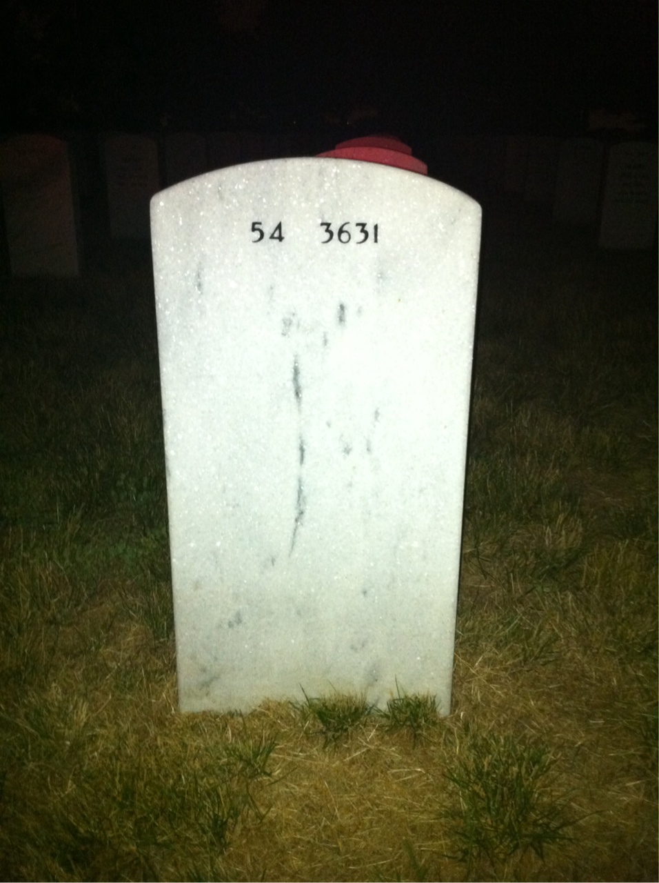 Back of headstone — Wilfred Scott