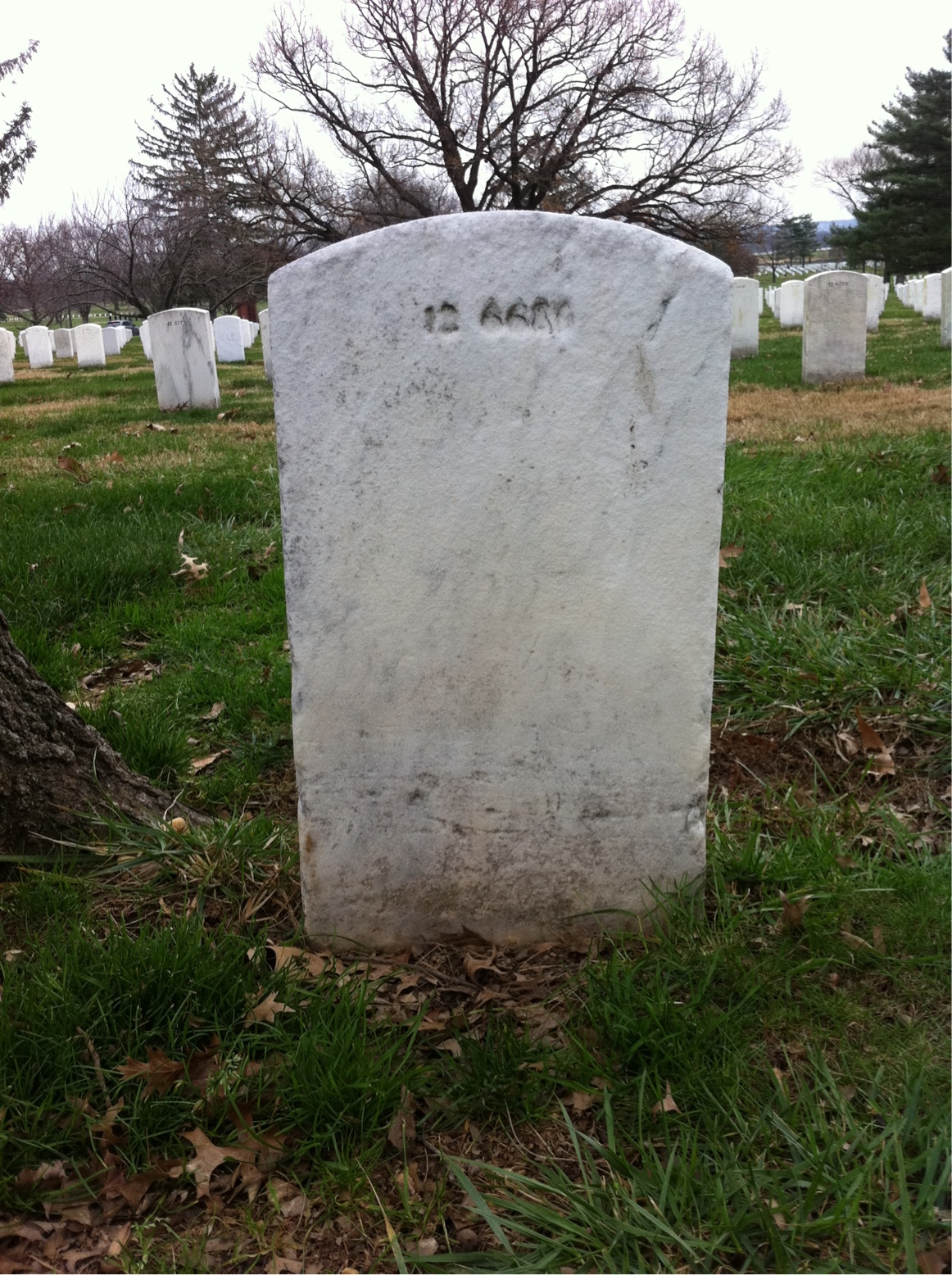Back of headstone — William P Brown